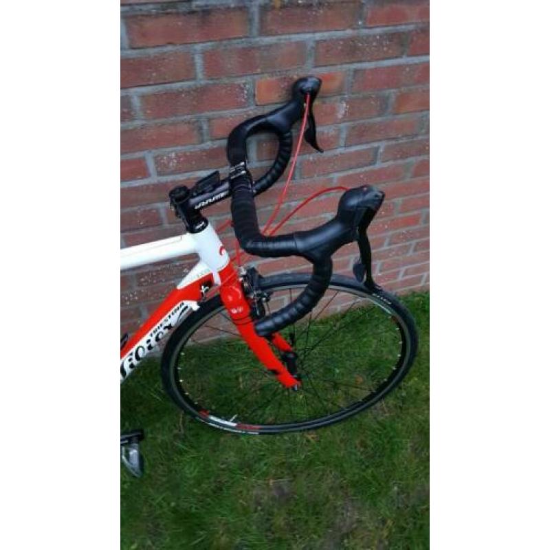 Wilier Montegrappa M (52)