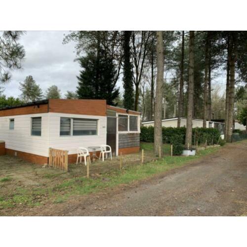 Camping de Schatberg sevenum