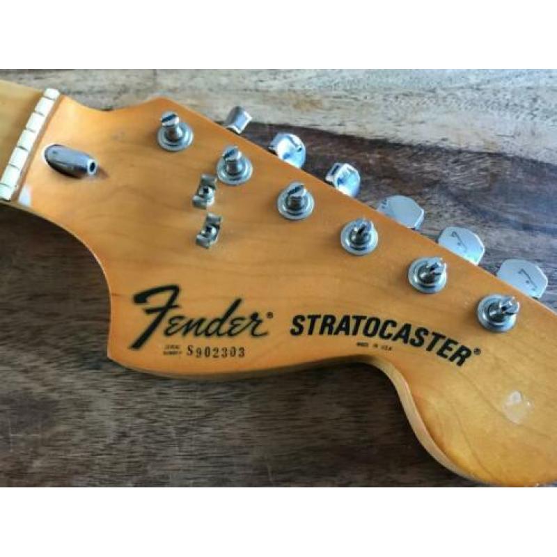 fender stratocaster 1979