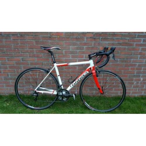 Wilier Montegrappa M (52)