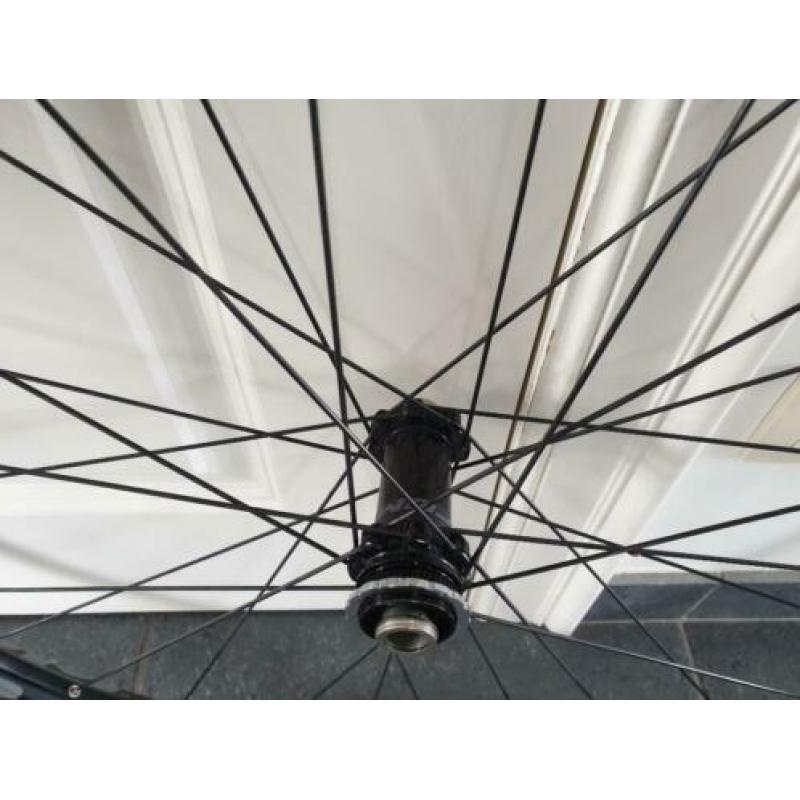 Fulcrum Red 66 29er wielset