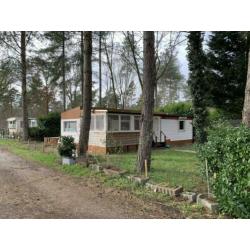 Camping de Schatberg sevenum
