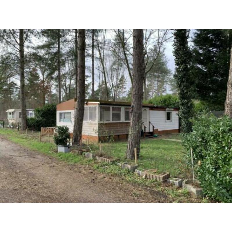 Camping de Schatberg sevenum
