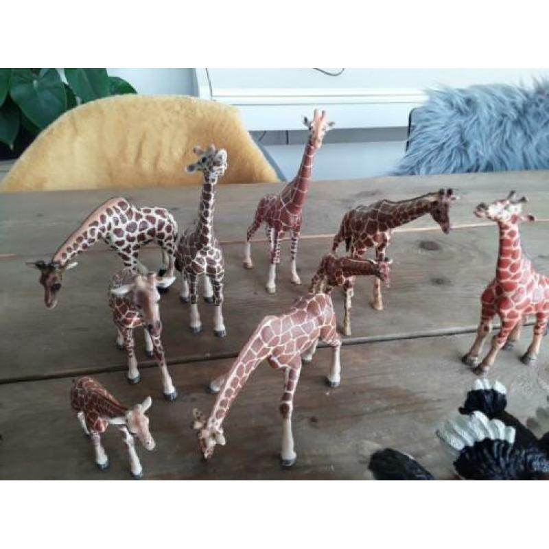 Schleich giraf, zebra, struisvogel.