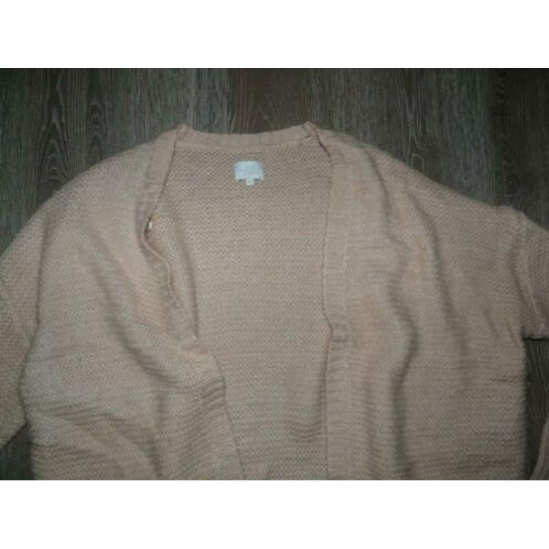 Voorjaar poederroze lang vest zakjes Opus maat L 40 42 44