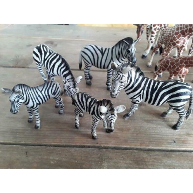 Schleich giraf, zebra, struisvogel.