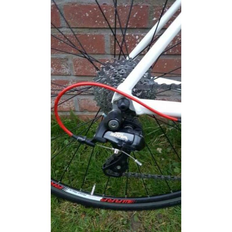 Wilier Montegrappa M (52)