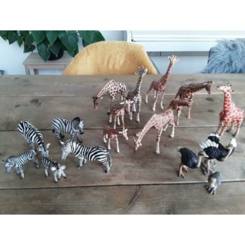Schleich giraf, zebra, struisvogel.