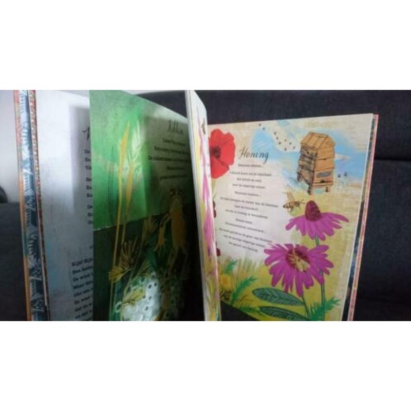 NIEUW: Mijn Eerste Buitenboek