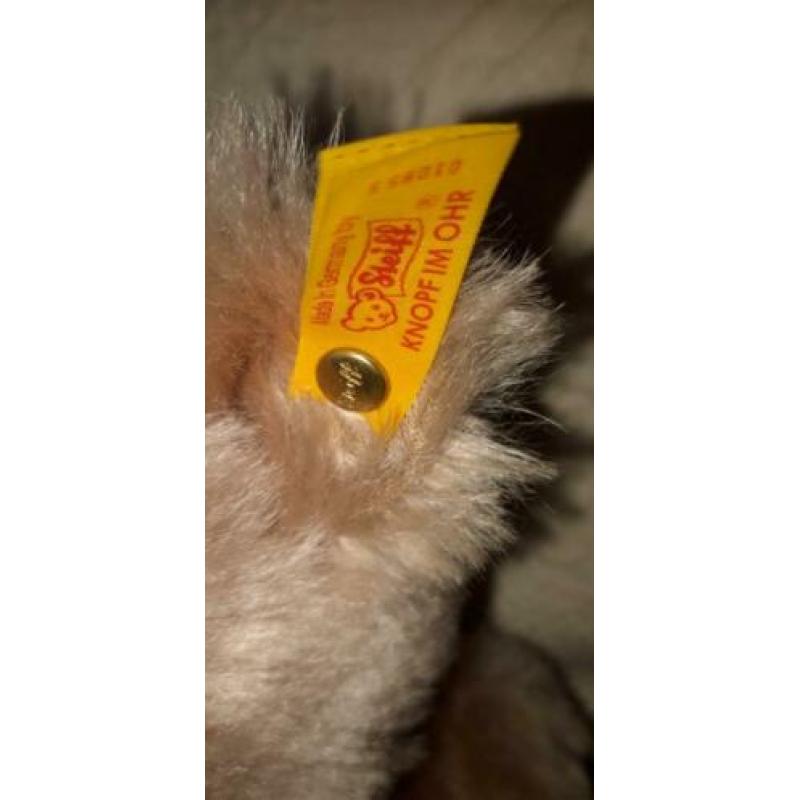 Mooie steiff beer 35cm.