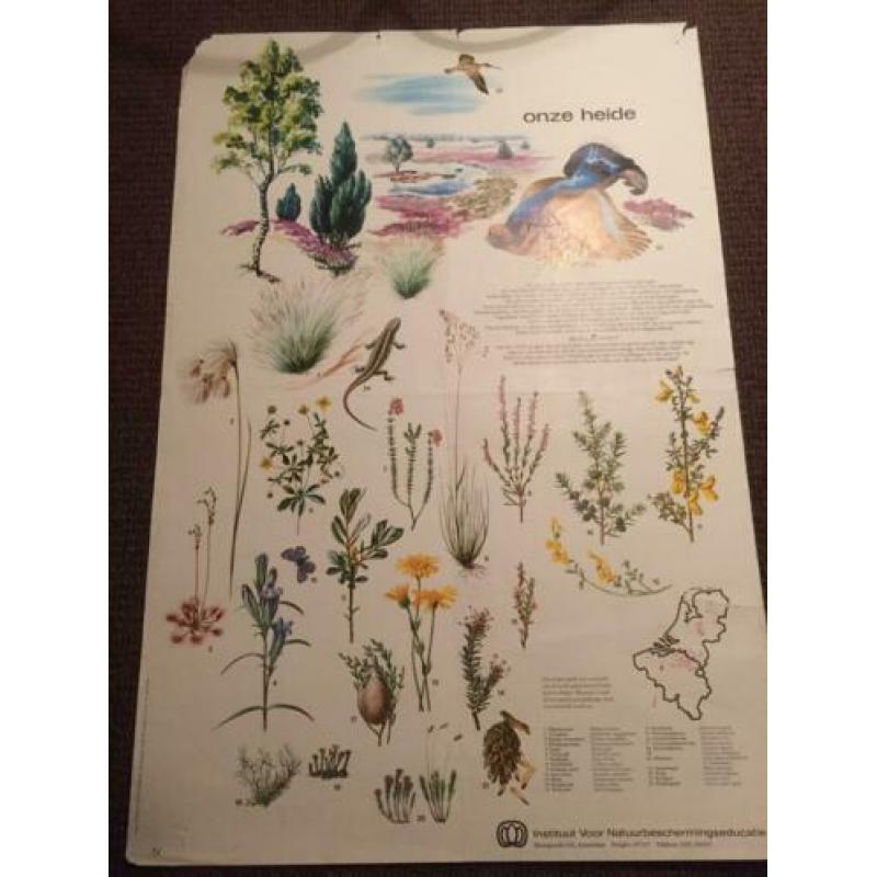 Schoolplaten/posters