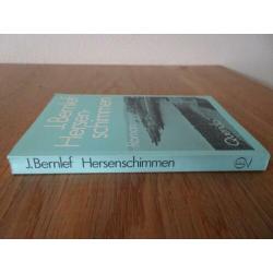 J. Bernlef - Hersenschimmen