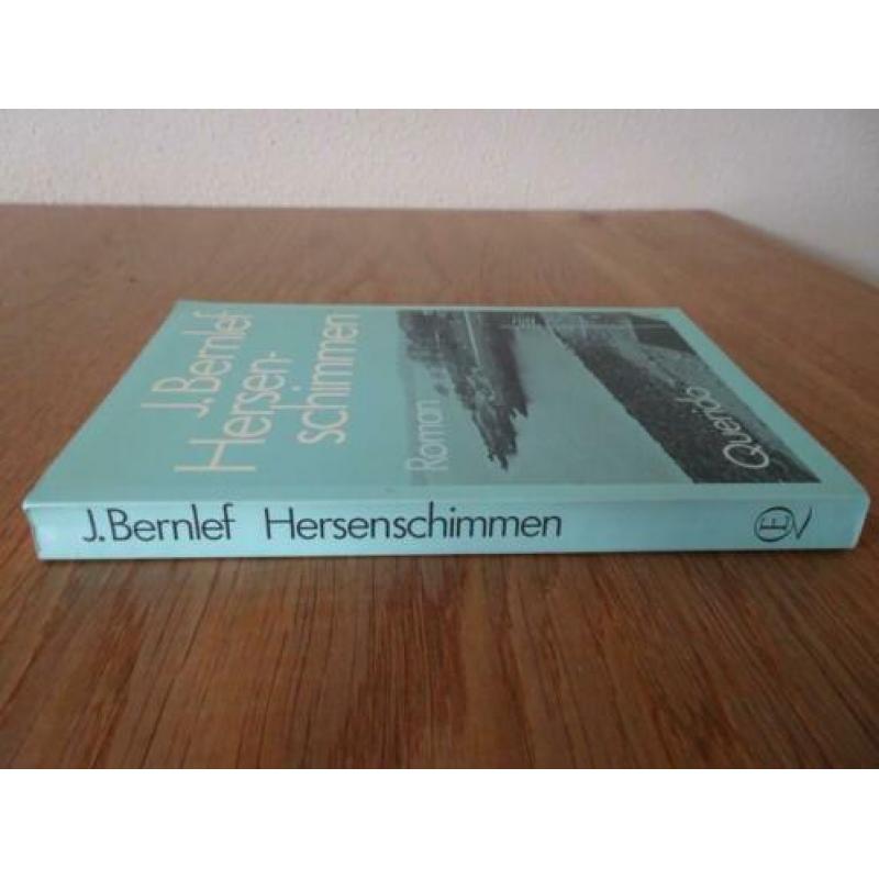 J. Bernlef - Hersenschimmen