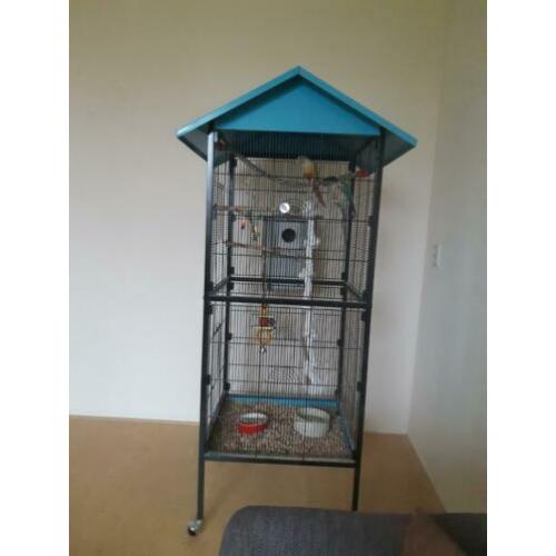 Koppel pyrrhura inclusief kooi