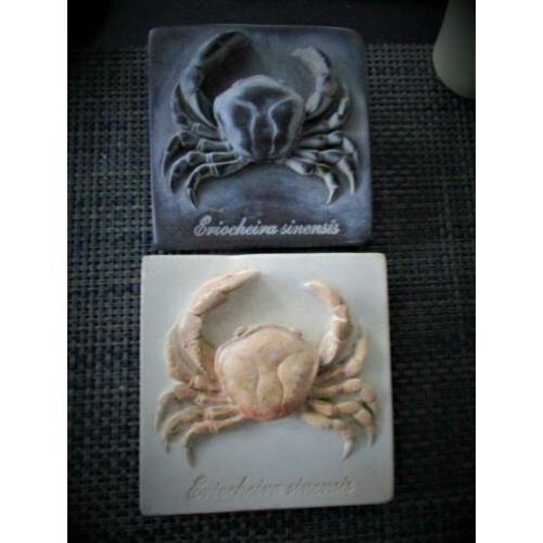 Vastenavond spul te koop