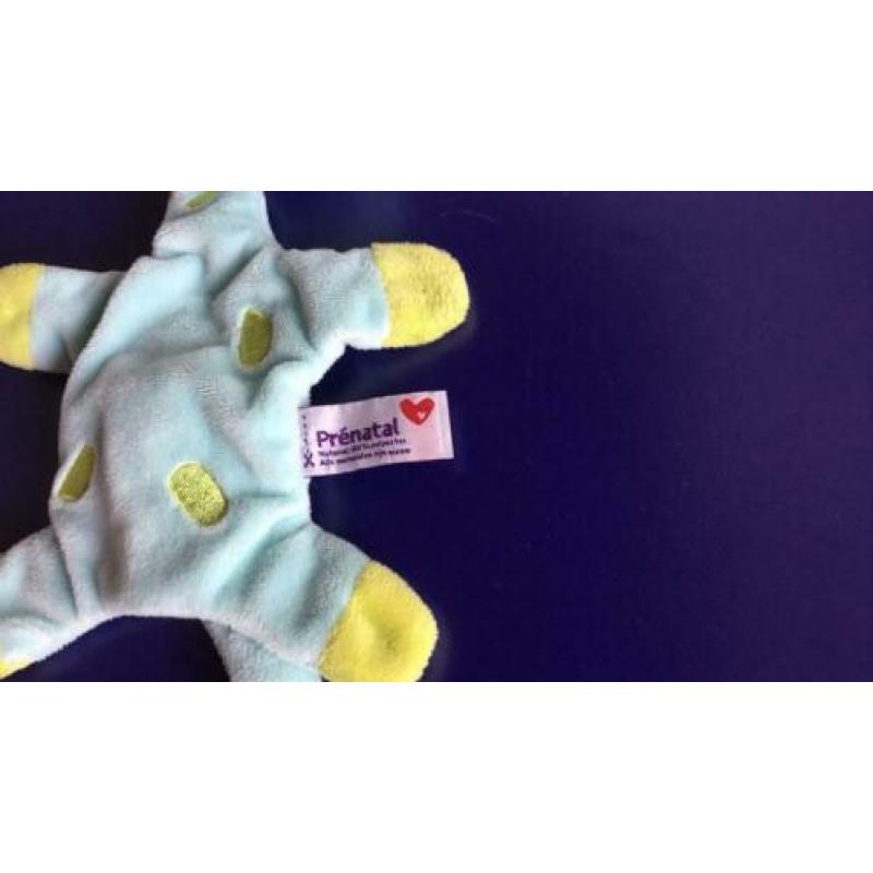 Prenatal giraf giraffe licht groene knuffel