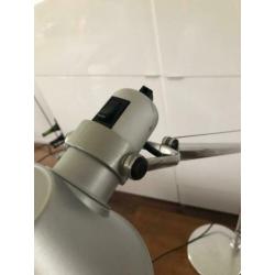 Artemide Tolomeo tafel/vloerlampen bieden per stuk