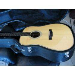 Eastman E 8D en blueridge BR 73 met harde koffer
