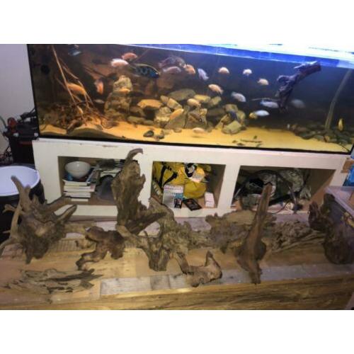 Groot aquarium te koop