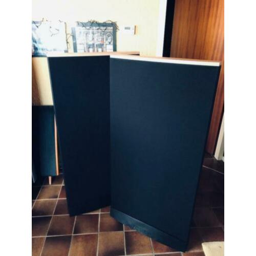 Quad ESL 989 gereviseerd