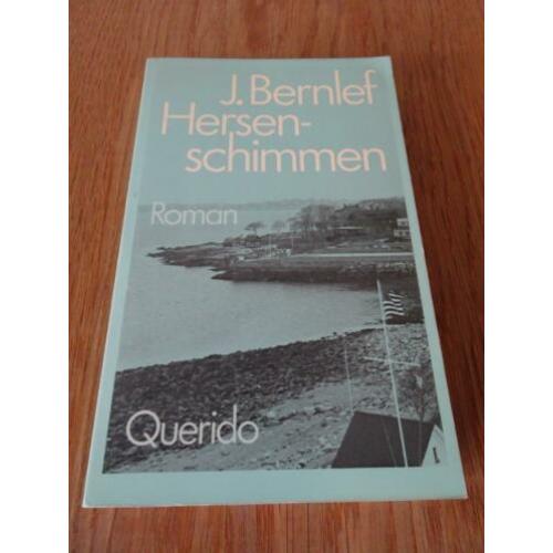 J. Bernlef - Hersenschimmen