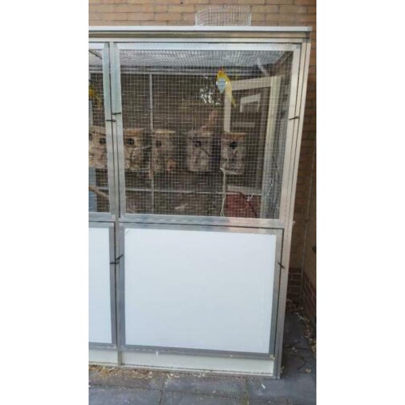 nieuwe mooie katten rennen en verblijven!!