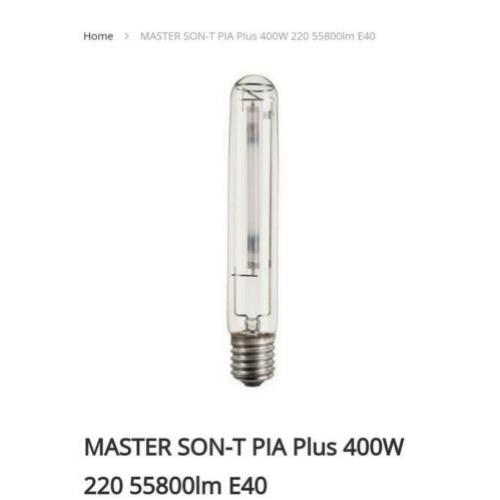 Master son-t PIA PLUS dozen vol PHILIPS