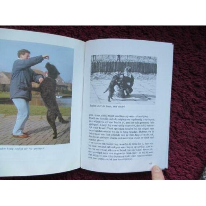 Van pup tot volwassen hond boek