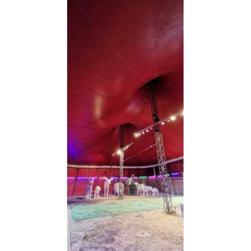 Circustent