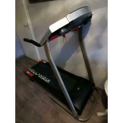 Hollandia loopband