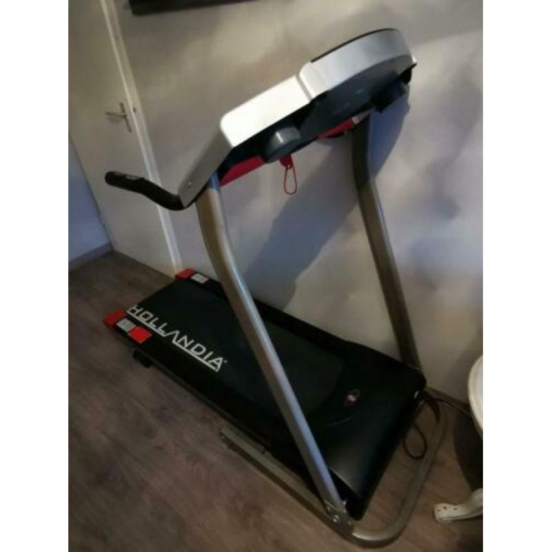 Hollandia loopband