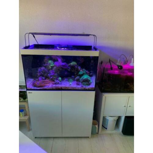 Red Sea Reefer 250 incl inhoud