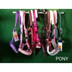 Halsters in verschillende maten en kleuren