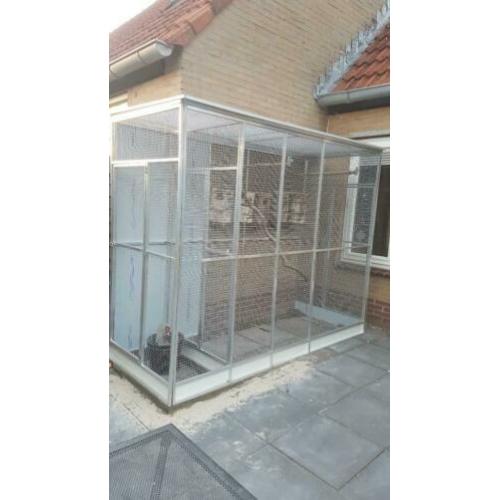 nieuwe mooie katten rennen en verblijven!!