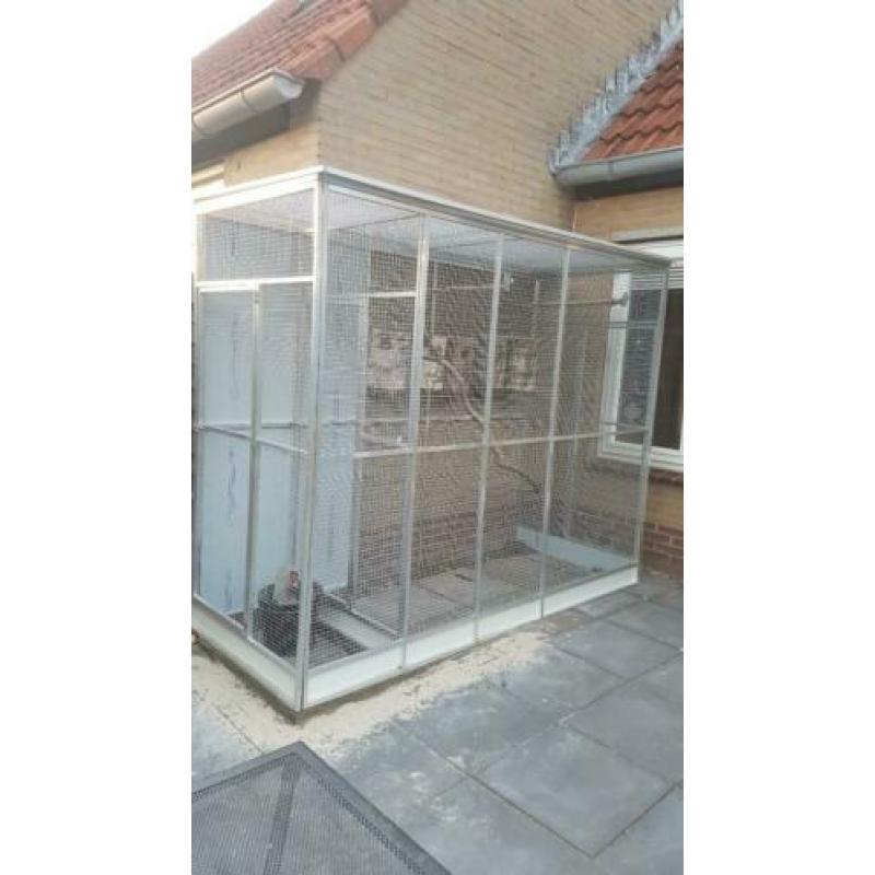 nieuwe mooie katten rennen en verblijven!!
