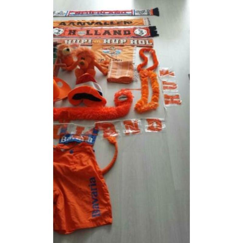 Diverse oranje leeuwen en leeuwinnen artikelen € 40,00