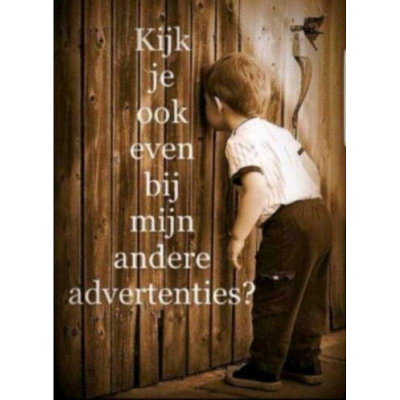 Te koop los playmobil met veel poppetjes