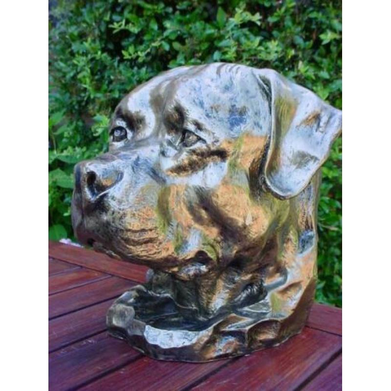 Als kado sier of urn rottweiler super kop nieuw rothweiler n