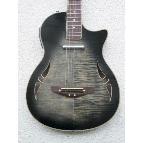 Harley Benton Custom Line Nashville Steel