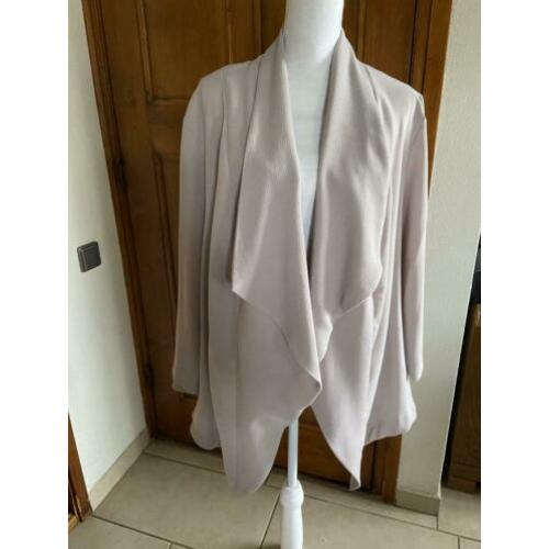 SPLINTERNIEUW zilvergrijs jasje maat 54. Kaartje er nog aan