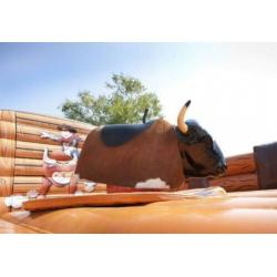 Rodeo stier/Springkussen/popcorn&suikerspin/partytent/stoele