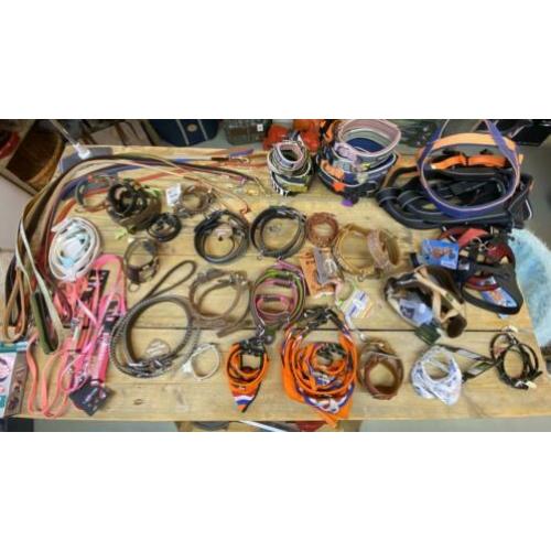 Partijhandel, honden halsbanden, 70 stuks.