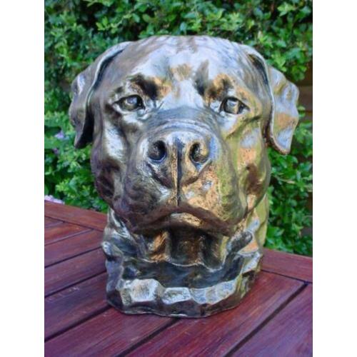 Als kado sier of urn rottweiler super kop nieuw rothweiler n