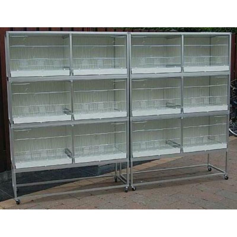 broedkooien door Birdshop gemaakt
