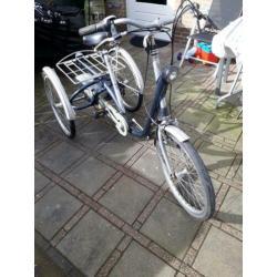 Driewieler Fan Ram maxi 2met 8 versnellingen