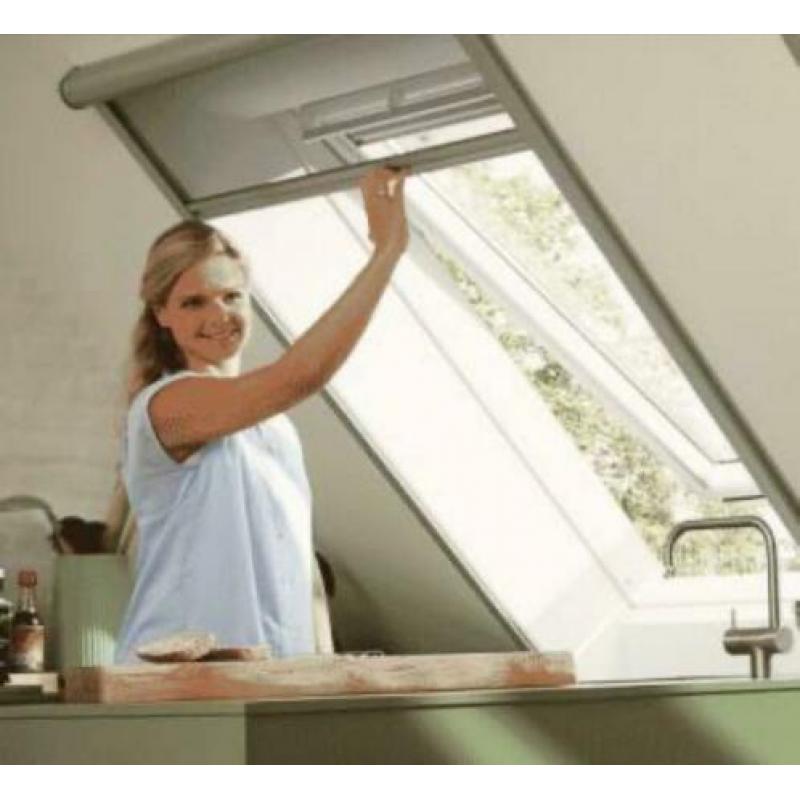 Velux dakraam hor