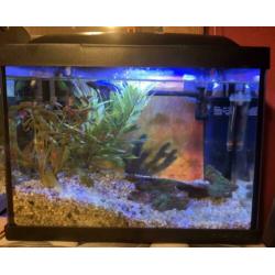 Aquarium superfish start 20 goldfish kit zwart