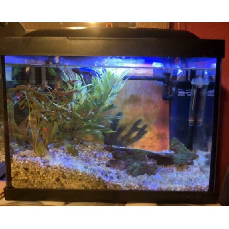 Aquarium superfish start 20 goldfish kit zwart