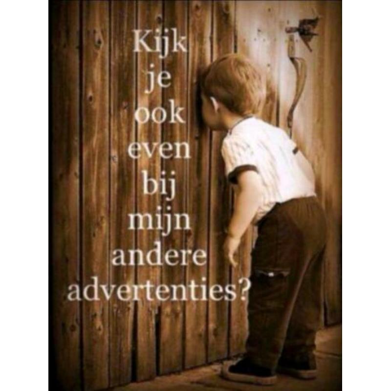 maat 164