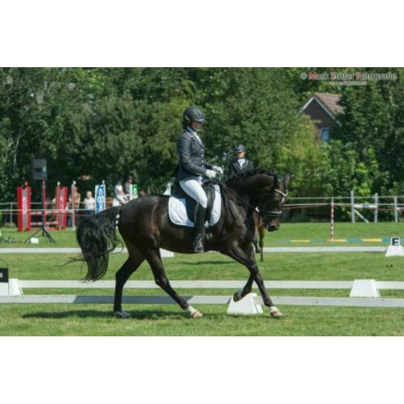 Wedstrijdjas maat 36/38